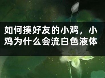 如何揍好友的小雞，小雞為什么會(huì)流白色液體