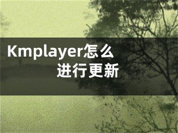 Kmplayer怎么進(jìn)行更新