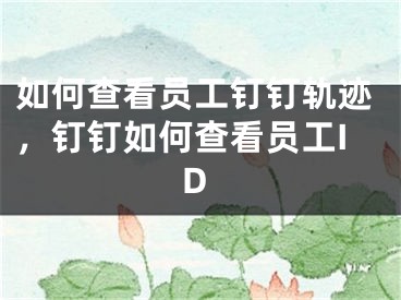 如何查看員工釘釘軌跡，釘釘如何查看員工ID