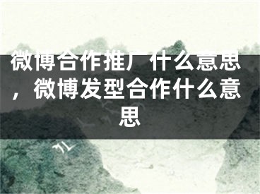 微博合作推廣什么意思，微博發(fā)型合作什么意思