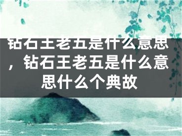 鉆石王老五是什么意思，鉆石王老五是什么意思什么個(gè)典故