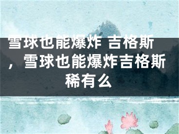 雪球也能爆炸 吉格斯，雪球也能爆炸吉格斯稀有么