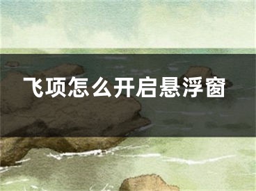 飛項怎么開啟懸浮窗