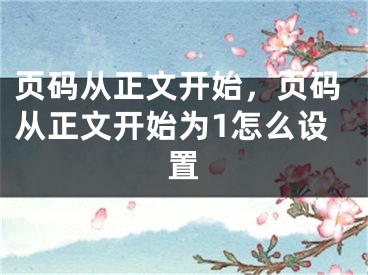 頁碼從正文開始，頁碼從正文開始為1怎么設(shè)置