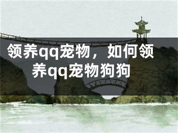 領(lǐng)養(yǎng)qq寵物，如何領(lǐng)養(yǎng)qq寵物狗狗