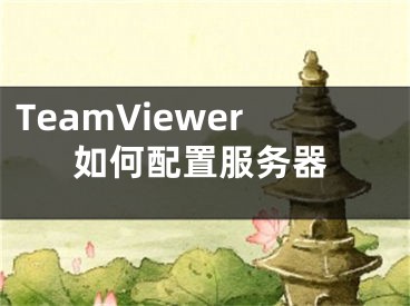 TeamViewer如何配置服務(wù)器