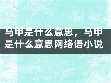 馬甲是什么意思，馬甲是什么意思網(wǎng)絡(luò)語小說