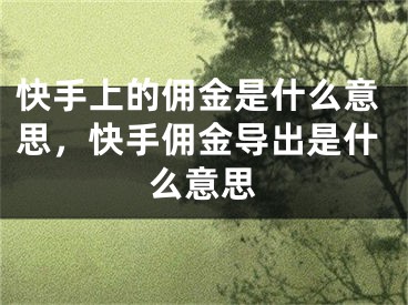 快手上的傭金是什么意思，快手傭金導(dǎo)出是什么意思