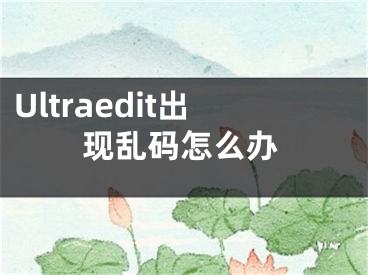 Ultraedit出現(xiàn)亂碼怎么辦