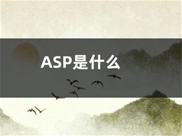 ASP是什么