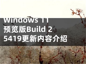 Windows 11預覽版Build 25419更新內容介紹