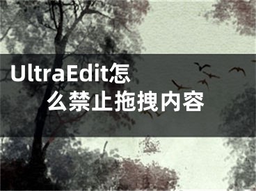 UltraEdit怎么禁止拖拽內(nèi)容