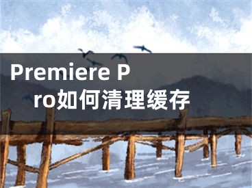 Premiere Pro如何清理緩存