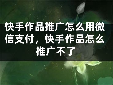 快手作品推廣怎么用微信支付，快手作品怎么推廣不了