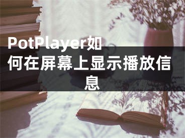 PotPlayer如何在屏幕上顯示播放信息