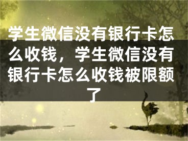 學(xué)生微信沒(méi)有銀行卡怎么收錢，學(xué)生微信沒(méi)有銀行卡怎么收錢被限額了