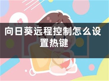 向日葵遠程控制怎么設置熱鍵