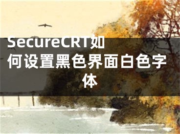 SecureCRT如何設(shè)置黑色界面白色字體