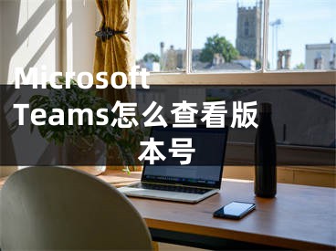 Microsoft Teams怎么查看版本號