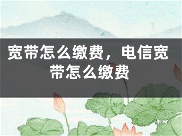 寬帶怎么繳費(fèi)，電信寬帶怎么繳費(fèi)