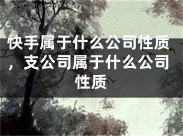 快手屬于什么公司性質(zhì)，支公司屬于什么公司性質(zhì)