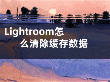 Lightroom怎么清除緩存數(shù)據(jù)