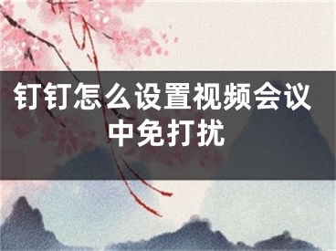 釘釘怎么設(shè)置視頻會(huì)議中免打擾