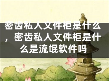 密齒私人文件柜是什么，密齒私人文件柜是什么是流氓軟件嗎