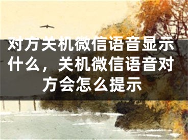 對(duì)方關(guān)機(jī)微信語(yǔ)音顯示什么，關(guān)機(jī)微信語(yǔ)音對(duì)方會(huì)怎么提示