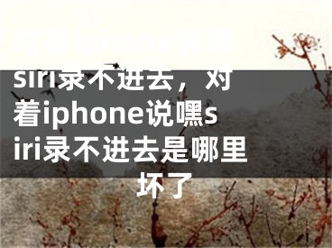 對著iphone說嘿siri錄不進(jìn)去，對著iphone說嘿siri錄不進(jìn)去是哪里壞了