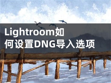 Lightroom如何設(shè)置DNG導(dǎo)入選項(xiàng)