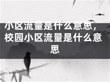 小區(qū)流量是什么意思，校園小區(qū)流量是什么意思