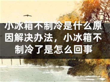 小冰箱不制冷是什么原因解決辦法，小冰箱不制冷了是怎么回事