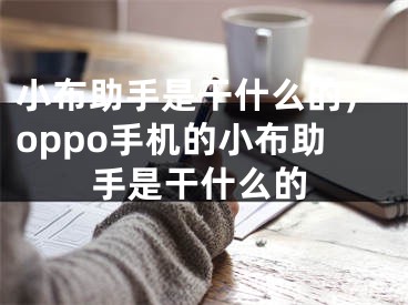 小布助手是干什么的，oppo手機的小布助手是干什么的