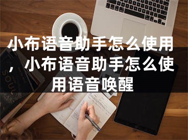 小布語音助手怎么使用，小布語音助手怎么使用語音喚醒