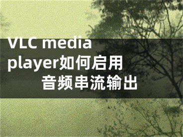 VLC media player如何啟用音頻串流輸出