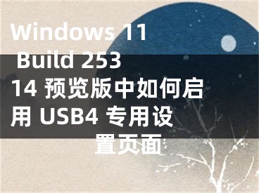 Windows 11 Build 25314 預(yù)覽版中如何啟用 USB4 專用設(shè)置頁(yè)面