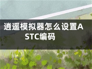 逍遙模擬器怎么設(shè)置ASTC編碼