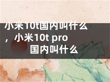 小米10t國(guó)內(nèi)叫什么，小米10t pro國(guó)內(nèi)叫什么