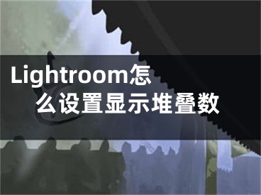 Lightroom怎么設(shè)置顯示堆疊數(shù)