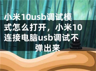 小米10usb調試模式怎么打開，小米10連接電腦usb調試不彈出來