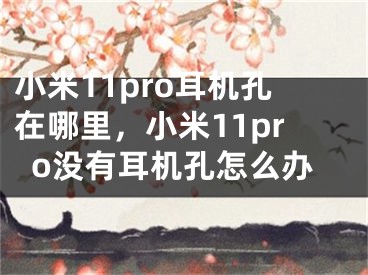 小米11pro耳機(jī)孔在哪里，小米11pro沒有耳機(jī)孔怎么辦