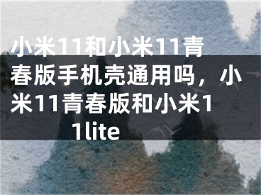 小米11和小米11青春版手機(jī)殼通用嗎，小米11青春版和小米11lite