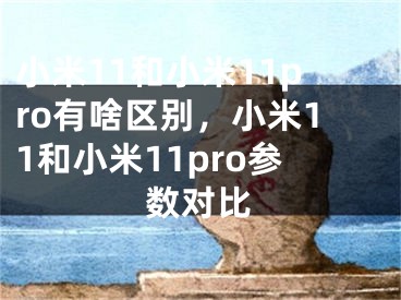 小米11和小米11pro有啥區(qū)別，小米11和小米11pro參數(shù)對比