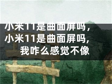 小米11是曲面屏嗎，小米11是曲面屏嗎,我咋么感覺不像