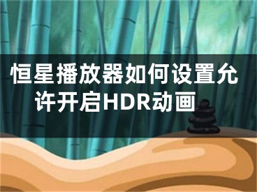 恒星播放器如何設(shè)置允許開(kāi)啟HDR動(dòng)畫(huà)