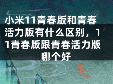 小米11青春版和青春活力版有什么區(qū)別，11青春版跟青春活力版哪個好