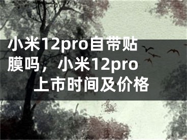 小米12pro自帶貼膜嗎，小米12pro上市時(shí)間及價(jià)格