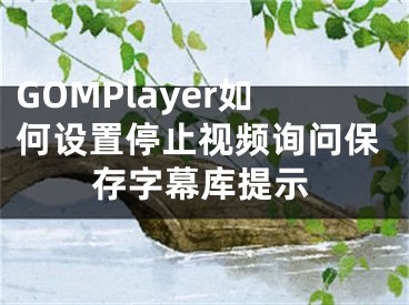 GOMPlayer如何設置停止視頻詢問保存字幕庫提示