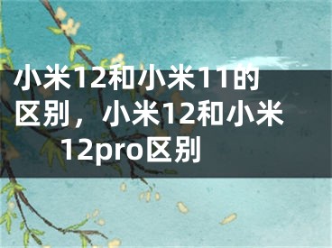 小米12和小米11的區(qū)別，小米12和小米12pro區(qū)別